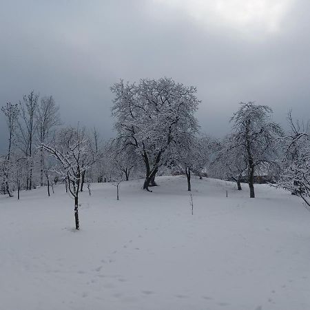Pensiunea Agroturistica Casa Pribegilor Breb Buitenkant foto