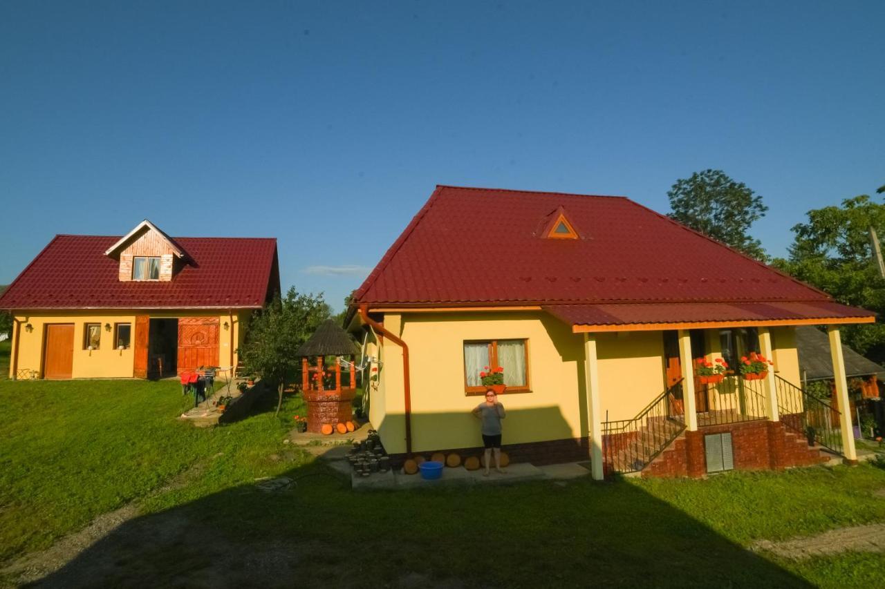 Pensiunea Agroturistica Casa Pribegilor Breb Buitenkant foto