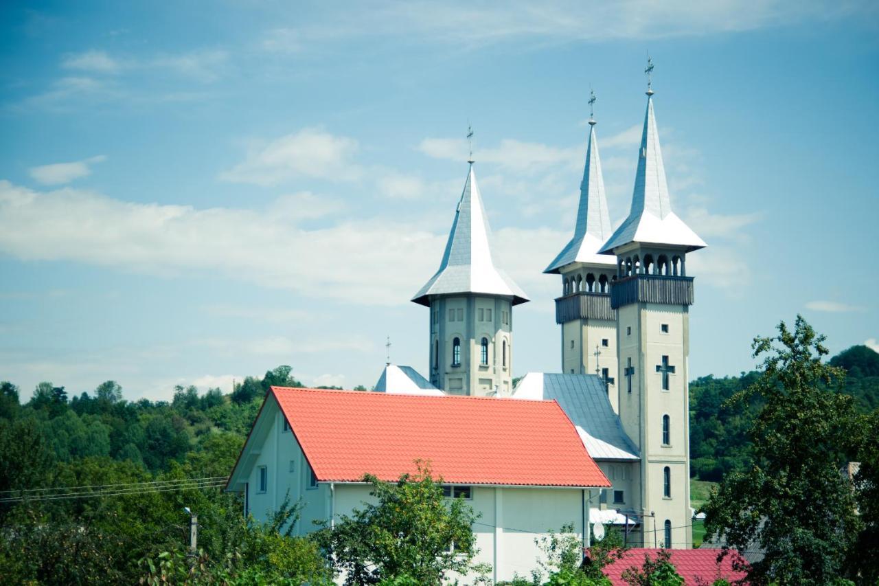 Pensiunea Agroturistica Casa Pribegilor Breb Buitenkant foto