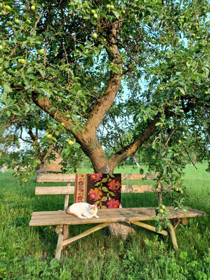 Pensiunea Agroturistica Casa Pribegilor Breb Buitenkant foto
