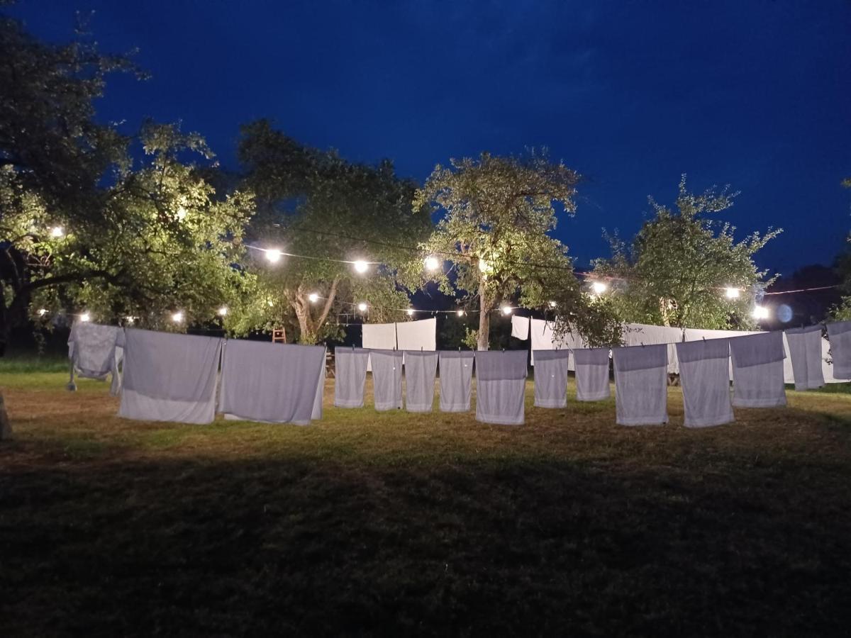 Pensiunea Agroturistica Casa Pribegilor Breb Buitenkant foto