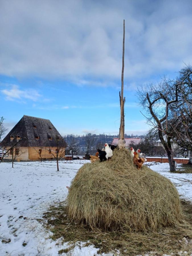 Pensiunea Agroturistica Casa Pribegilor Breb Buitenkant foto