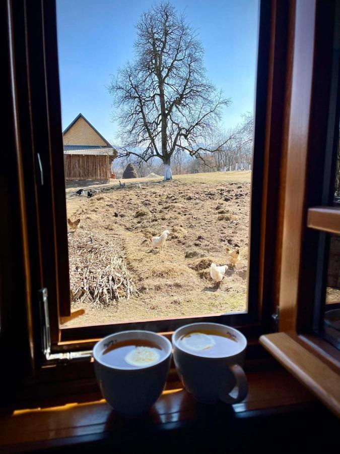 Pensiunea Agroturistica Casa Pribegilor Breb Buitenkant foto