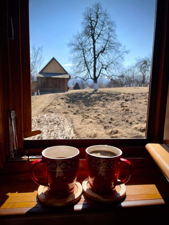 Pensiunea Agroturistica Casa Pribegilor Breb Buitenkant foto