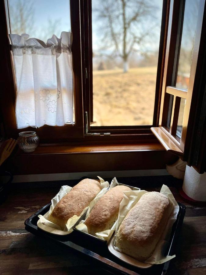 Pensiunea Agroturistica Casa Pribegilor Breb Buitenkant foto